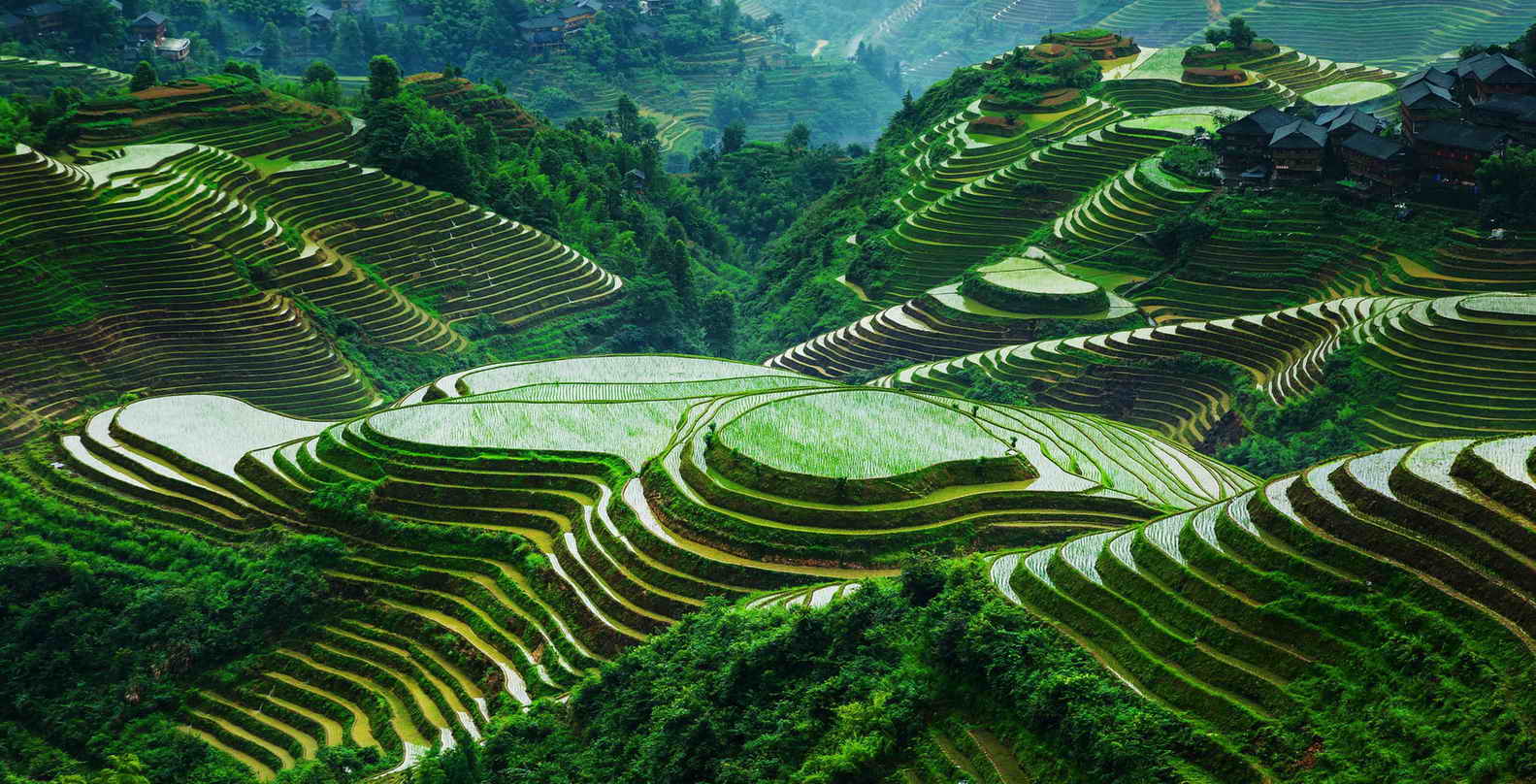 Longsheng-rice-terraces-Yangshuo-Mountain-Retreat-tours