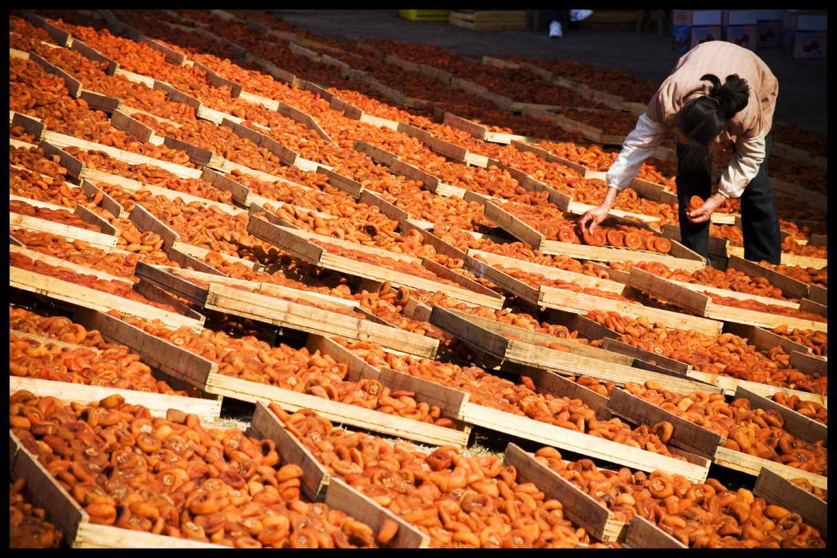 dried-persimmons-yangshuo-village-inn-guilin-yangshuo-china